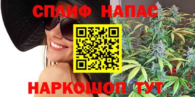 ешки Моздок