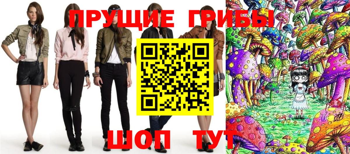 Псилоцибиновые грибы мицелий Тольятти