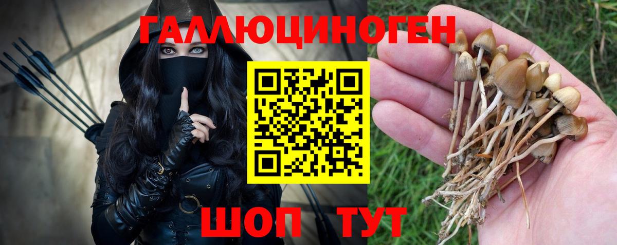 Псилоцибиновые грибы GOLDEN TEACHER  Галлюциногенные грибы MAGIC MUSHROOMS  Тольятти  Вход с VPN 